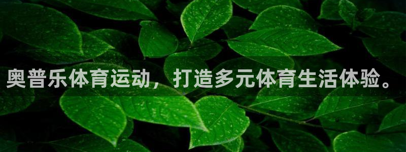 意昂体育3：奥普乐体育运动，打造多元体育生活体验。