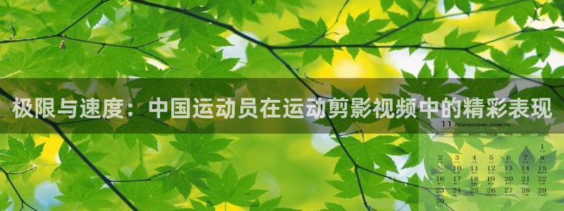 杏悦2平台