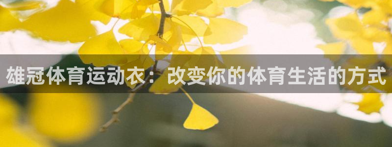 杏悦3官网：雄冠体育运动衣：改变你的体育生活的方式