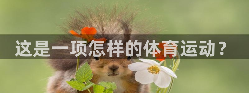 杏悦3注册：这是一项怎样的体育运动？