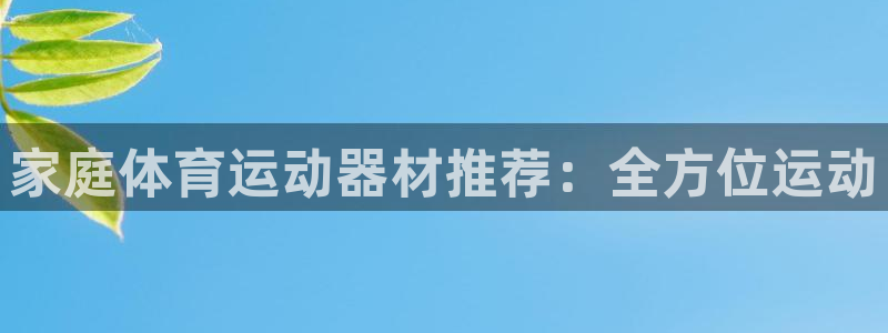 www.意昂体育.com：家庭体育运动器材推荐：全方位运动