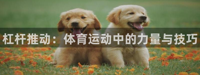 杏悦2官网：杠杆推动：体育运动中的力量与技巧