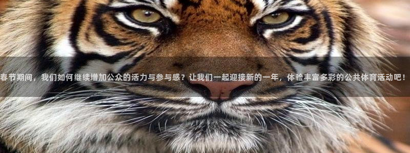 杏悦体育注册平台：春节期间，我们如何继续增加公众的活力与参与感？让我们一起迎接新的一年，体验丰富多彩的公共体育活动吧！