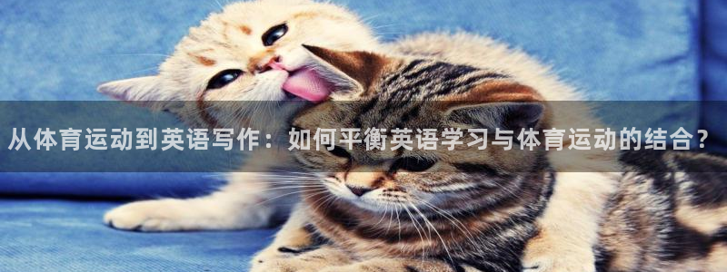 意昂官网：从体育运动到英语写作：如何平衡英语学习与体育运动的结合？