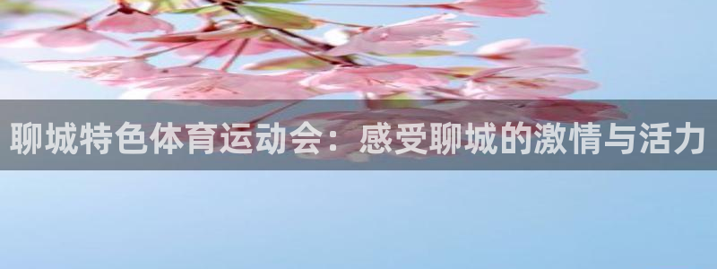 意昂kgame：聊城特色体育运动会：感受聊城的激情与活力
