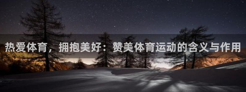 杏悦代理：热爱体育，拥抱美好：赞美体育运动的含义与作用
