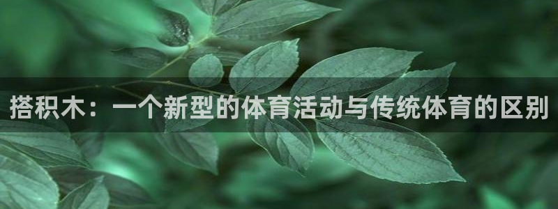 意昂包怎么样：搭积木：一个新型的体育活动与传统体育的区别