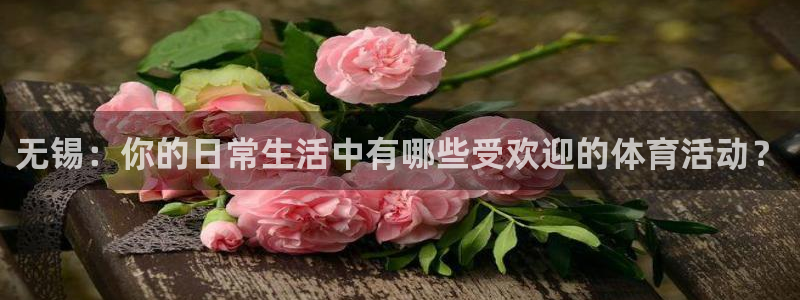 杏悦2平台登录：无锡：你的日常生活中有哪些受欢迎的体育活动？