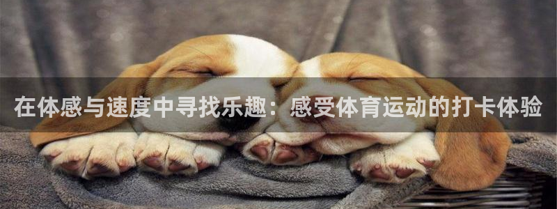 www.意昂体育.com：在体感与速度中寻找乐趣：感受体育运动的打卡体验