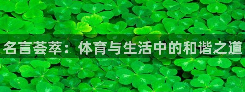 杏悦2登录：名言荟萃：体育与生活中的和谐之道