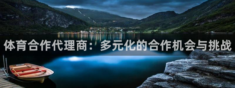 杏悦集团：体育合作代理商：多元化的合作机会与挑战