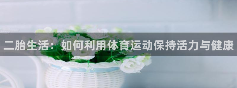 杏悦2登录入口：二胎生活：如何利用体育运动保持活力与健康