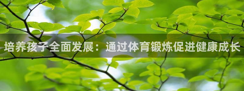 杏悦体育：培养孩子全面发展：通过体育锻炼促进健康成长
