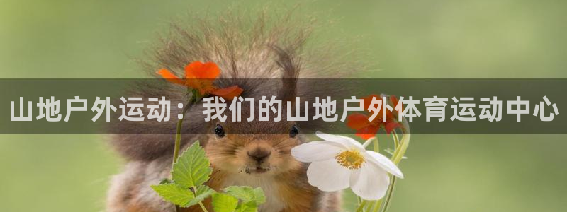 杏悦平台总代理：山地户外运动：我们的山地户外体育运动中心