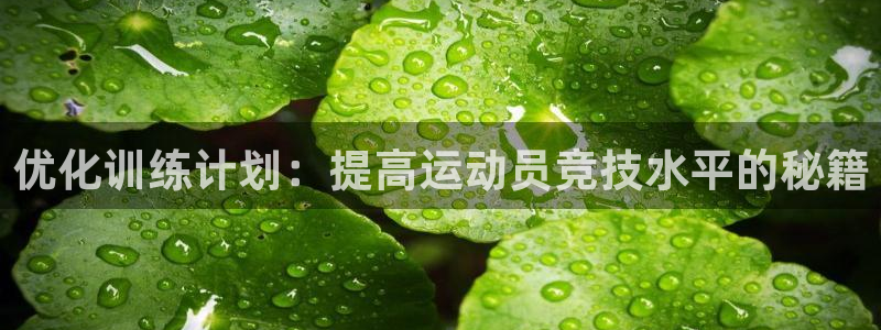 东莞市大朗意昂五金厂：优化训练计划：提高运动员竞技水平的秘籍