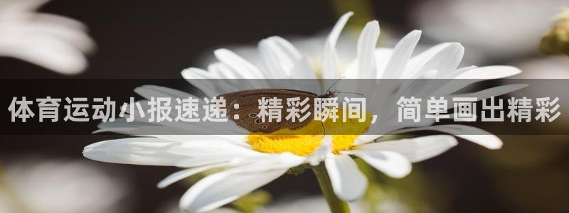 杏悦平台主管：体育运动小报速递：精彩瞬间，简单画出精彩