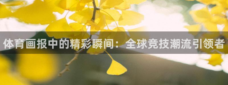 北京意昂科技有限公司：体育画报中的精彩瞬间：全球竞技潮流引领者