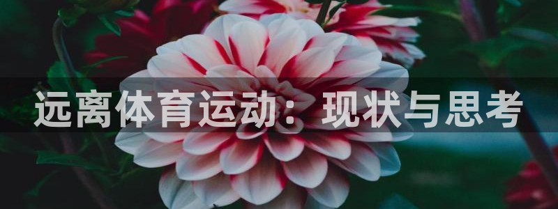意昂3平台登录注册：远离体育运动：现状与思考