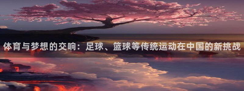 杏悦体育平台开号链接：体育与梦想的交响：足球、篮球等传统运动在中国的新挑战