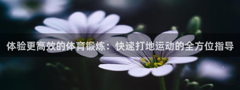 杏悦体育用品：体验更高效的体育锻炼：快速打地运动的全方位指导