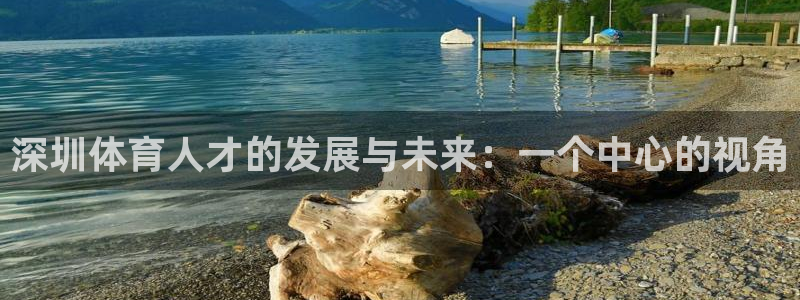 杏悦集团总部：深圳体育人才的发展与未来：一个中心的视角