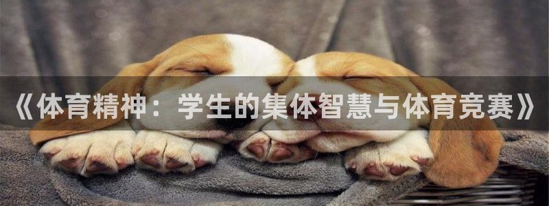 杏悦凯捷平台：《体育精神：学生的集体智慧与体育竞赛》