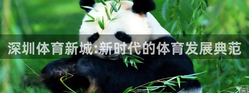 杏悦体育游戏：深圳体育新城:新时代的体育发展典范