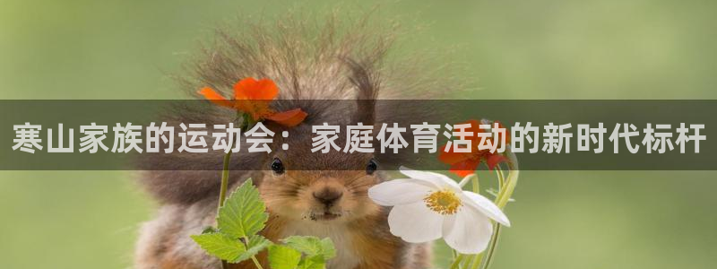 意昂总代：寒山家族的运动会：家庭体育活动的新时代标杆