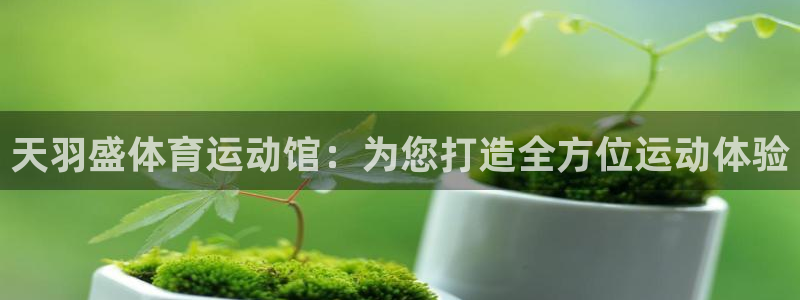 杏悦平台注册：天羽盛体育运动馆：为您打造全方位运动体验