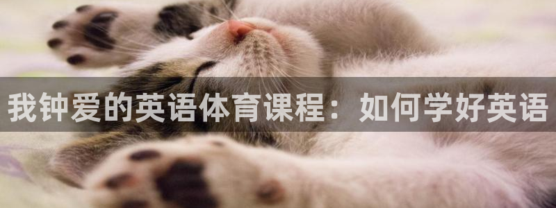杏悦凯捷平台：我钟爱的英语体育课程：如何学好英语