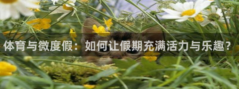 意昂4官网：体育与微度假：如何让假期充满活力与乐趣？