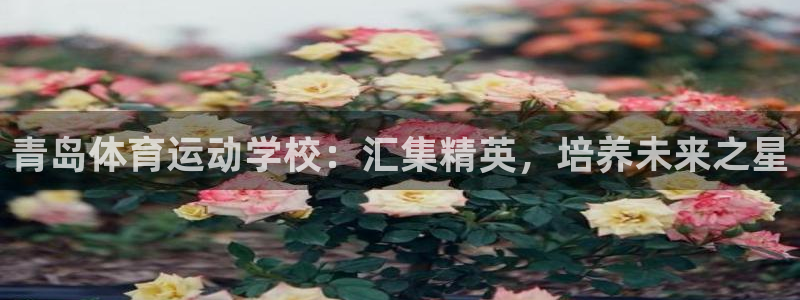 意昂是什么品牌：青岛体育运动学校：汇集精英，培养未来之星