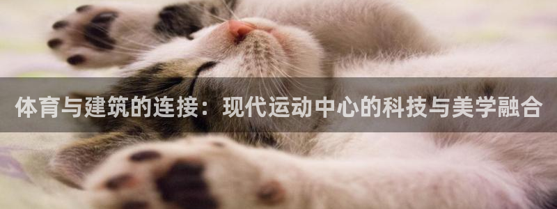 杏悦体育3在线注册：体育与建筑的连接：现代运动中心的科技与美学融合