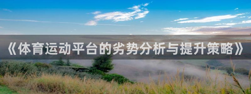 杏悦集团总部：《体育运动平台的劣势分析与提升策略》