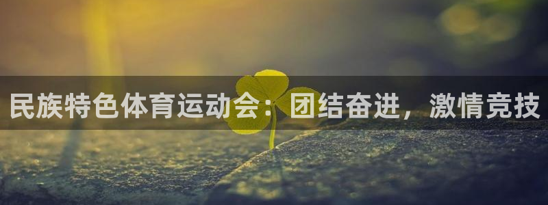 杏悦体育网页版入口：民族特色体育运动会：团结奋进，激情竞技