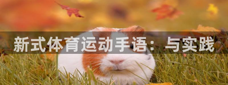 杏悦平台总代理：新式体育运动手语：与实践