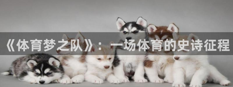 杏悦体育网页版入口：《体育梦之队》：一场体育的史诗征程